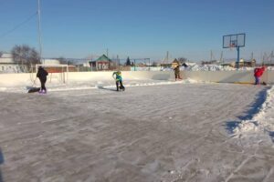 Жители балаковского села расчистили детский каток