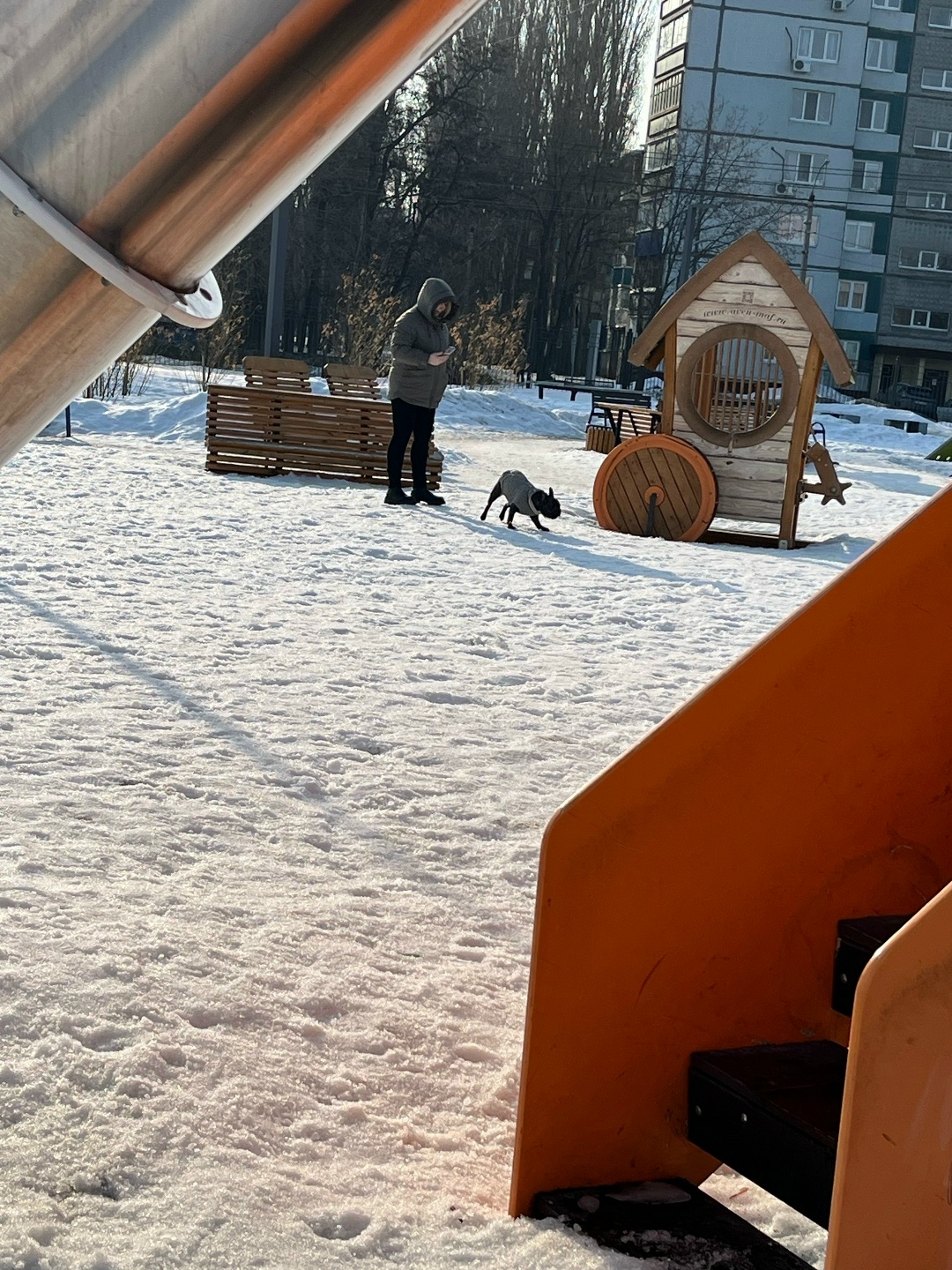 "Из-за таких, как она, всех собачников считают плохими". За что не любят владельцев животных?