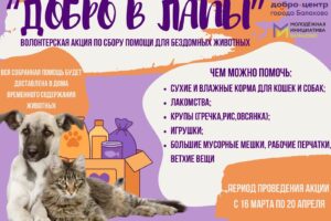 В Балаково стартовала акция «Добро в лапы»