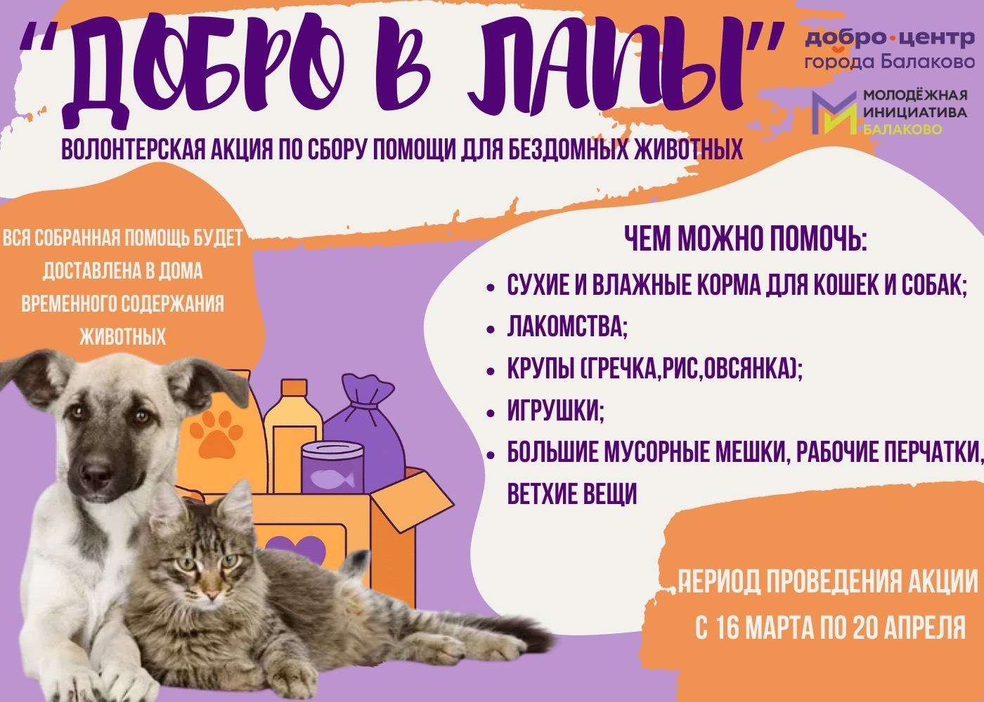 В Балаково стартовала акция «Добро в лапы»