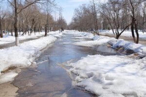 Синоптики обещают балаковцам резкое потепление