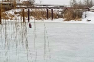 На оросительном канале прошел внеплановый рейд по тонкому льду