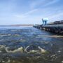 Гидростанция рядом с Балаково открыла водосбросы