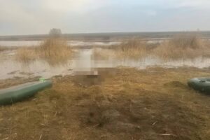 В пруду утонул 25-летний мужчина