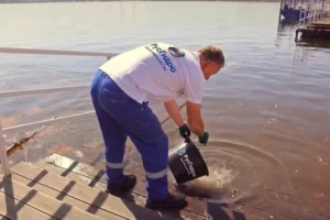 ВИДЕО. Экологическая акция Саратовской ГЭС:  в Волгу выпустили молодь рыбы