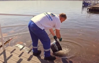 ВИДЕО. Экологическая акция Саратовской ГЭС:  в Волгу выпустили молодь рыбы