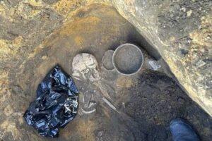 В регионе археологи подняли из курганов древние останки