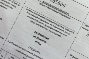 Охотничий сезон на пороге