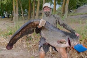 Рыбак поймал 50-килограммового сома и отпустил