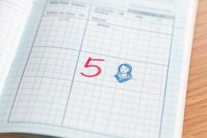 Госдума предлагает платить школьникам за пятерки