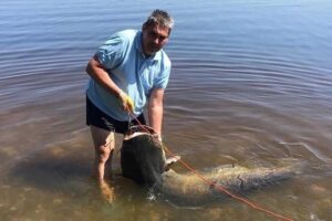 Рыбак поймал в Волге огромного сома