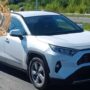 Автоледи пострадала в массовом ДТП в Балаково