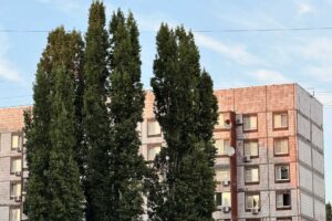 Солнечная пятница ждет балаковцев
