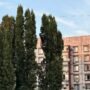 Солнечная пятница ждет балаковцев