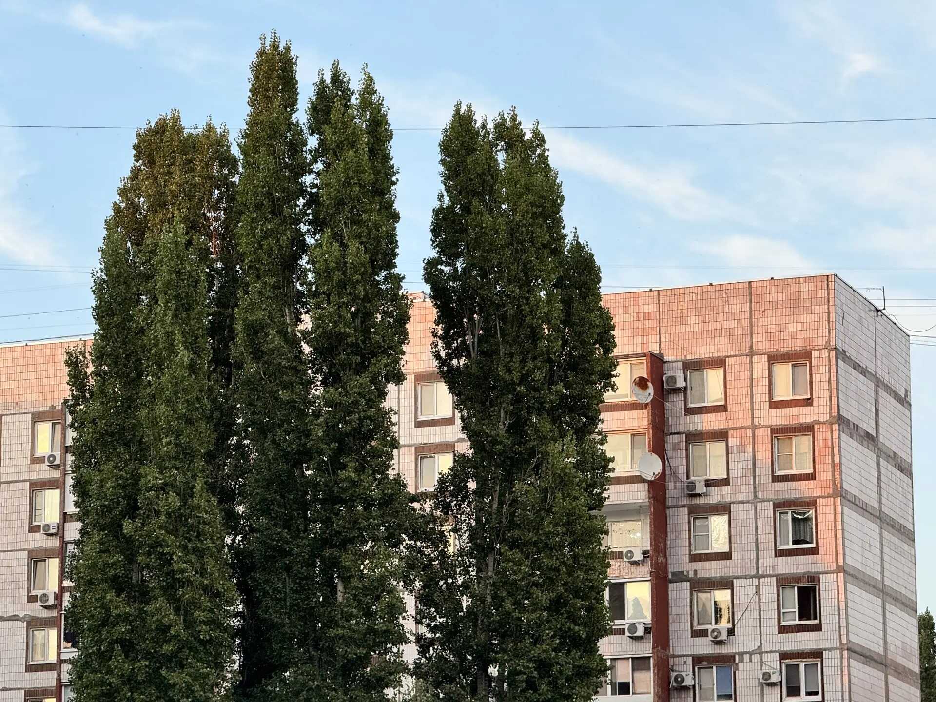 Солнечная пятница ждет балаковцев
