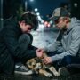 «Искали помощь, как могли». Балаковцы не смогли спасти собаку с ножевым ранением