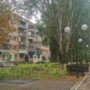 Аллея Славы в Балаково зарастает травой