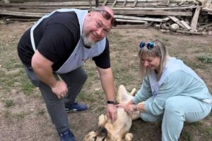 Атомщики устроили теплые выходные для хвостатых друзей