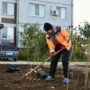 В Балакове на новом участке Сиреневого сквера высадят более 300 кустов сирени