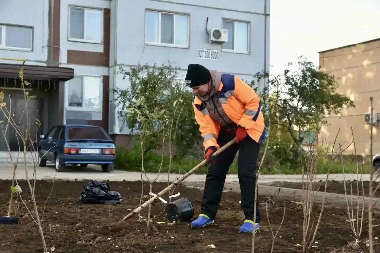 В Балакове на новом участке Сиреневого сквера высадят более 300 кустов сирени